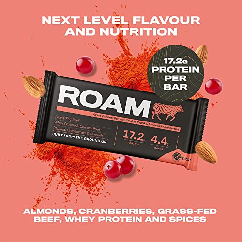 ROAM Natural Protein Bars, High Protein & Low Carb, 6-Pack