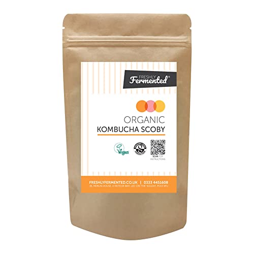 Freshly Fermented Vegan & Organic Kombucha SCOBY (2 Litre Kombucha)