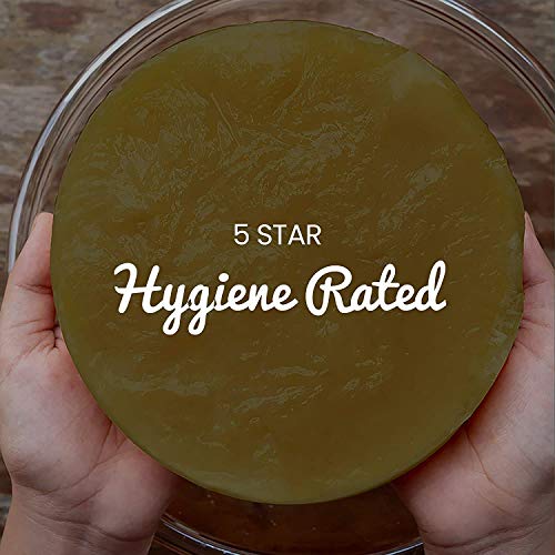 Freshly Fermented Vegan & Organic Kombucha SCOBY (2 Litre Kombucha)