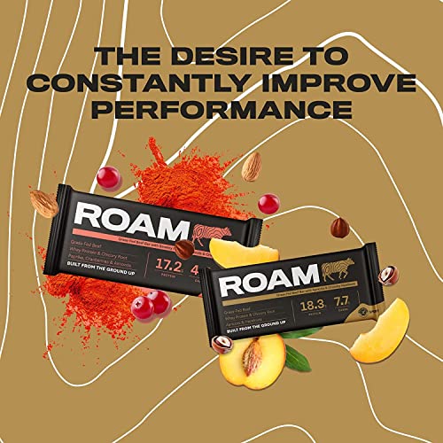ROAM Natural Protein Bars, High Protein & Low Carb, 6-Pack