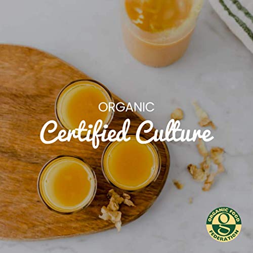 Freshly Fermented – Organic & Vegan Friendly Ginger Beer Starter Culture, Ginger Bug Style
