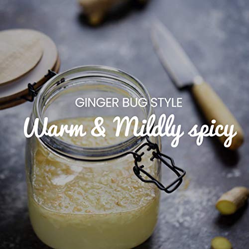 Freshly Fermented – Organic & Vegan Friendly Ginger Beer Starter Culture, Ginger Bug Style