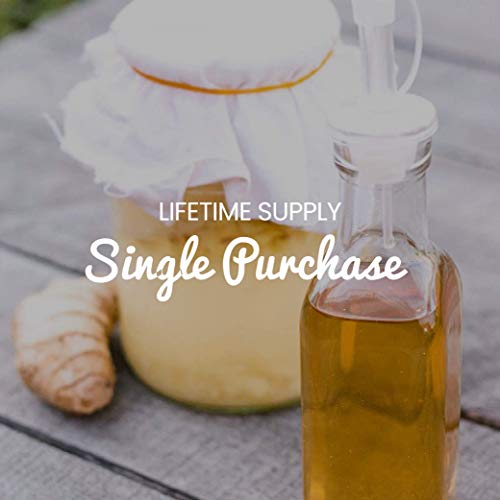 Freshly Fermented – Organic & Vegan Friendly Ginger Beer Starter Culture, Ginger Bug Style