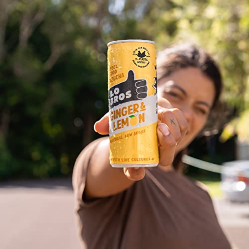 Lo Bros Kombucha - Mixed Pack - 250ml per Can - Pack of 24 - 100% natural, Low Calorie - Vegan, Gluten Free, Low Sugar, Live Cultures