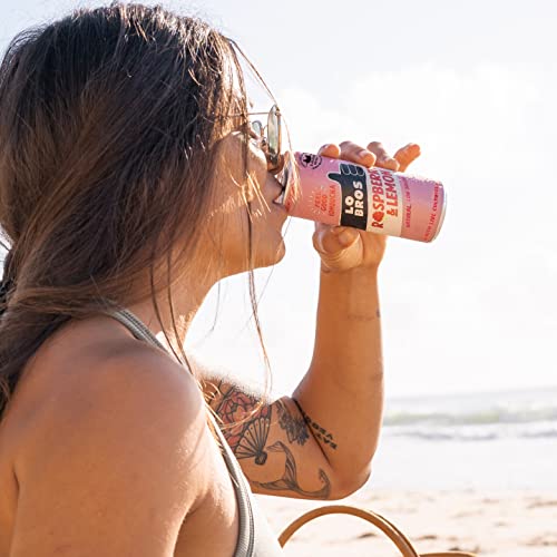 Lo Bros Kombucha - Mixed Pack - 250ml per Can - Pack of 24 - 100% natural, Low Calorie - Vegan, Gluten Free, Low Sugar, Live Cultures