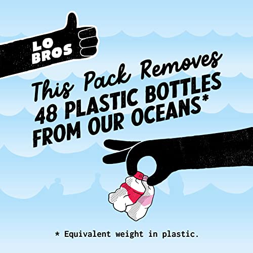 Lo Bros Kombucha - Mixed Pack - 250ml per Can - Pack of 24 - 100% natural, Low Calorie - Vegan, Gluten Free, Low Sugar, Live Cultures