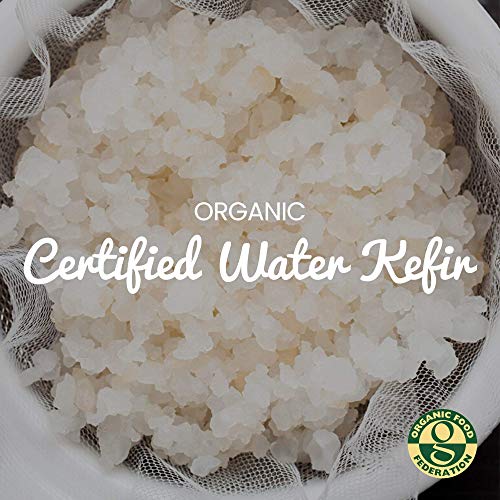 Freshly Fermented - 20g of Organic Certified Water Kefir Grains