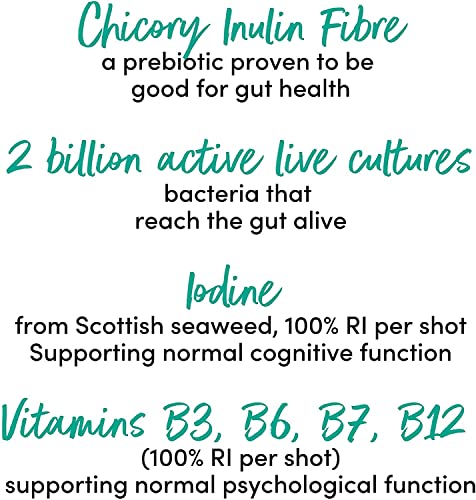 No.1 Living Kombucha Drink Health Shots - 10 x 60ml Bottles - High Fibre, Live Cultures, Low Sugar, 100% Natural, Vegan - Supporting Gut & Immune Health