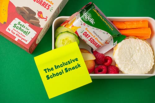 Angelic Free From 16 Pack Apple & Raspberry Oat Squares. Vegan Allergen Free Kids Snack Oat Bars For Snacks & Lunch Box. Nut, Gluten, Egg & Dairy Free Multipack Kids Snack Bars (16 x 30g Bars)