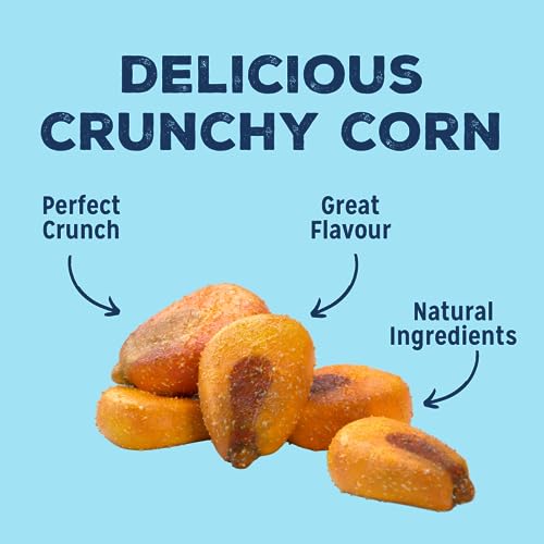 LOVE CORN Variety Pack (8x Sea Salt, 8x BBQ, 8x Salt & Vinegar 20g) – Healthy Snacks Ideal for Gluten Free & Vegan Diets – Low Sugar Alternative for Crisps, Mixed Nuts & Pretzels – Perfect To Graze On
