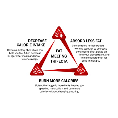 360 Meta Burn Extreme - Weight Loss Pills That Work Fast - Fat Burners for Women and Men Weight Loss - 120 High Strength Fat Burner Diet Pills – Natural Ingredients to Reduce Hunger - Internal Youth