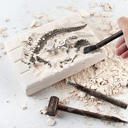 Stegosaurus 3D Fossil Bones Excavation Toy Kit