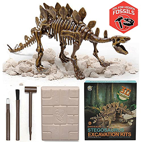 Stegosaurus 3D Fossil Bones Excavation Toy Kit