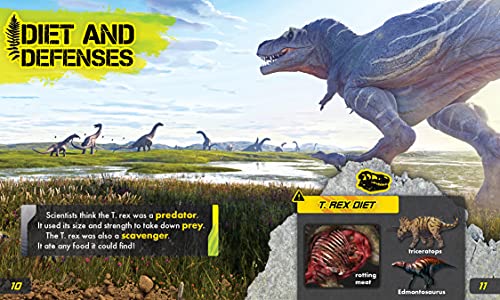 Tyrannosaurus Rex Paperback by Rebecca Sabelko