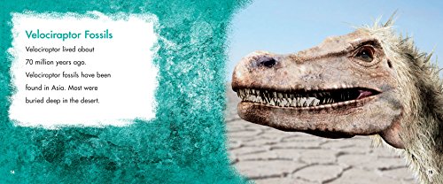 Velociraptor: A 4D Book (Dinosaurs)