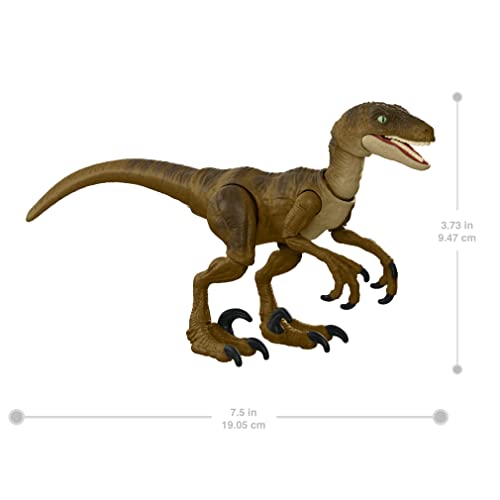 New 2021 Jurassic World Hammond Collection Velociraptor Dinosaur 3.75" Figure