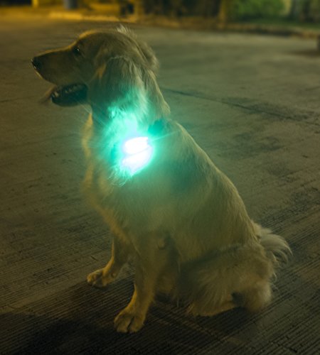 2-Pack LED Clip-on Safety Lights for Cyclists