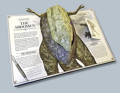 T-Rex Pop-Up Anatomy Guide Book (Hardcover)