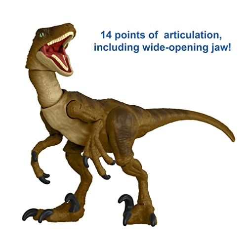 New 2021 Jurassic World Hammond Collection Velociraptor Dinosaur 3.75" Figure