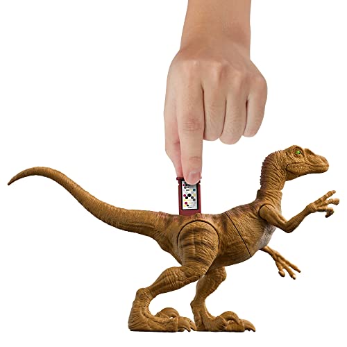 Mattel's Velociraptor Jurassic World Legacy Figure (HFF14)