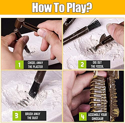 Stegosaurus 3D Fossil Bones Excavation Toy Kit