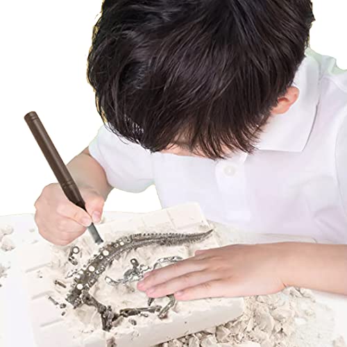 Stegosaurus 3D Fossil Bones Excavation Toy Kit