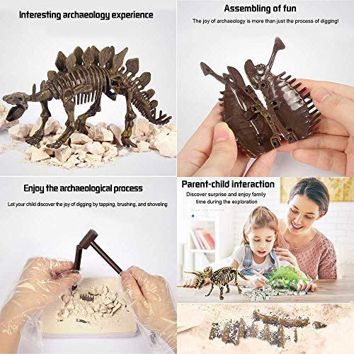 Stegosaurus 3D Fossil Bones Excavation Toy Kit