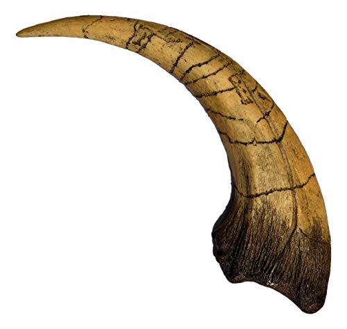 Iron supplement for dinosaur enthusiasts