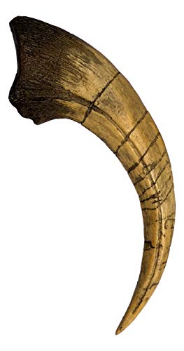 Iron supplement for dinosaur enthusiasts