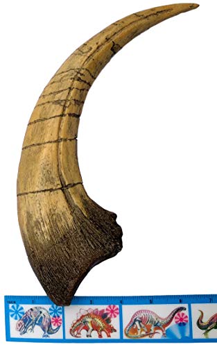 Iron supplement for dinosaur enthusiasts