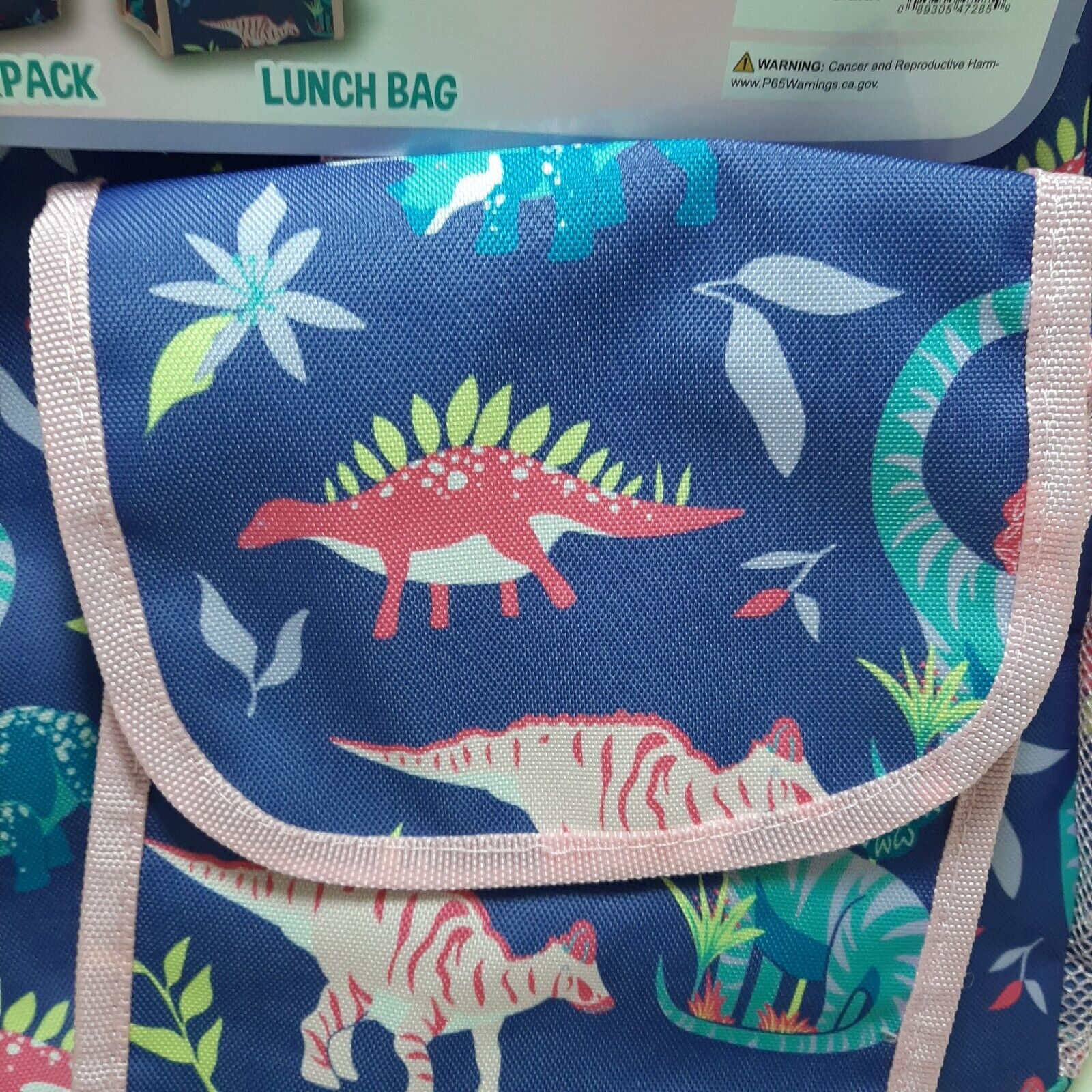 Dinosaur backpack and lunch box set!