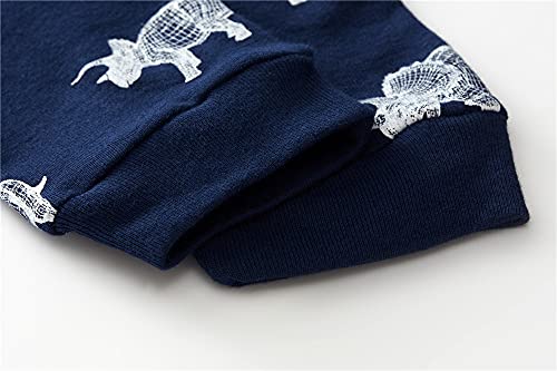 Glow in the Dark Dinosaur Pajamas for Boys