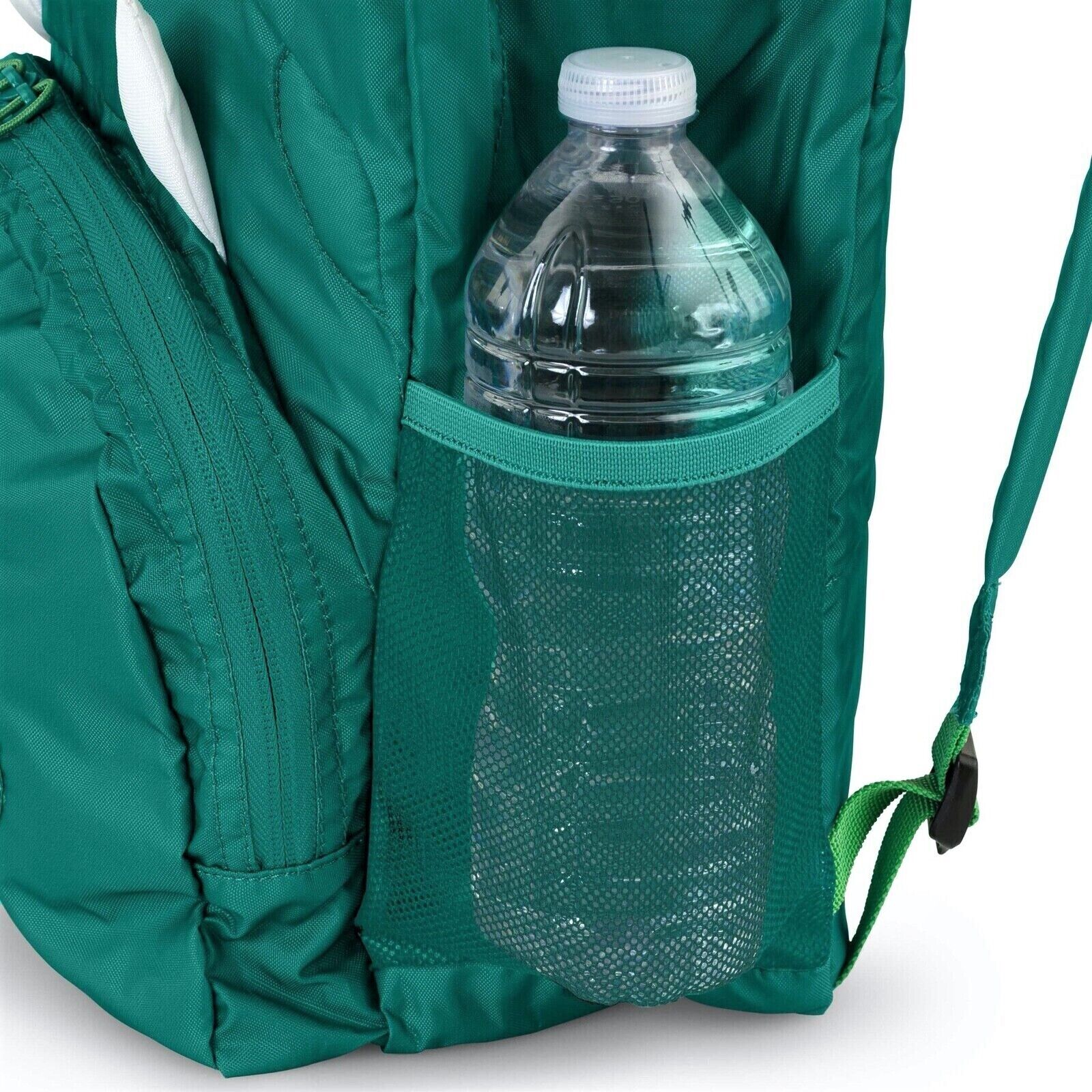 Dino Backpack for School and Travel Needs