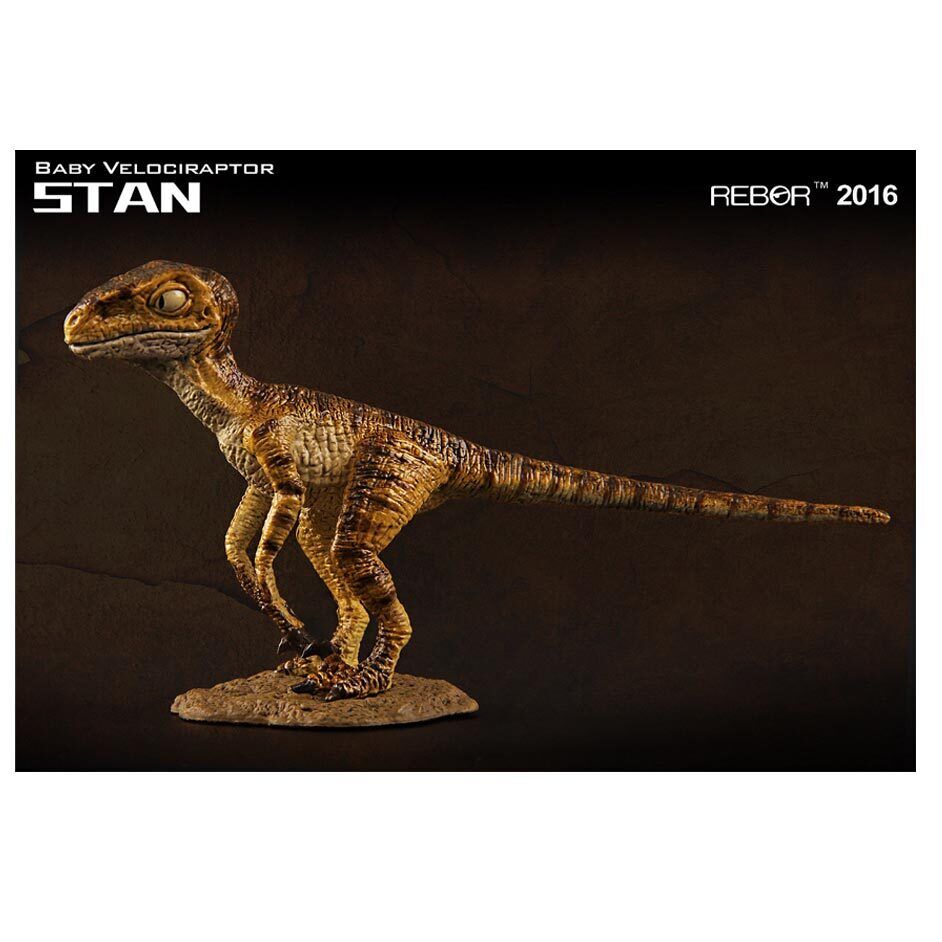 1/18 Scale Museum Class Baby Velociraptor Replica
