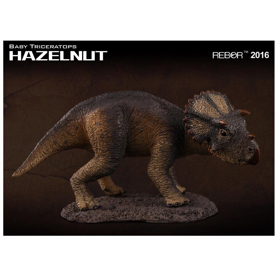 Hazelnut Baby Triceratops Replica - Museum Quality