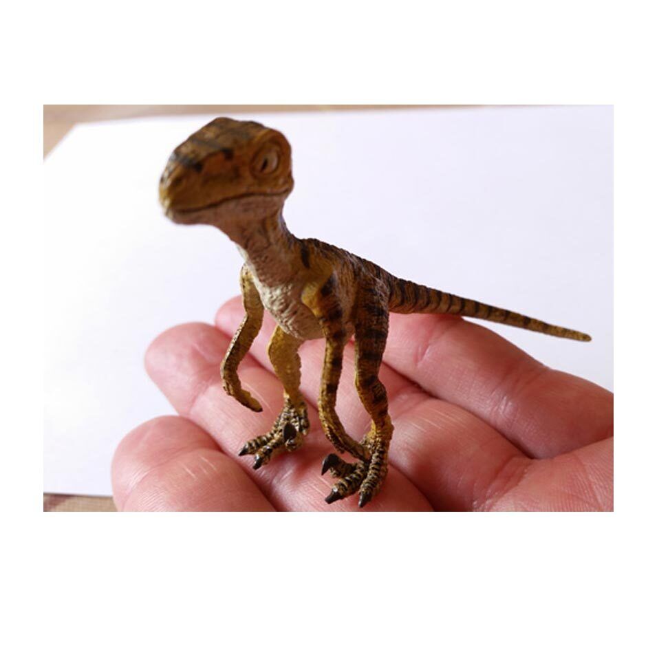 1/18 Scale Museum Class Baby Velociraptor Replica