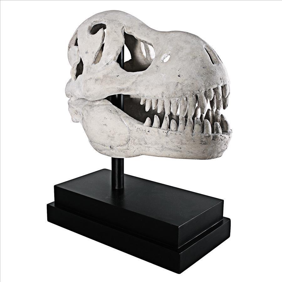 T-Rex Dinosaur Skull Replica for Display