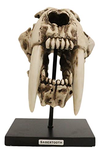 Sabertooth Tiger Skull Statue with Mounting Pole