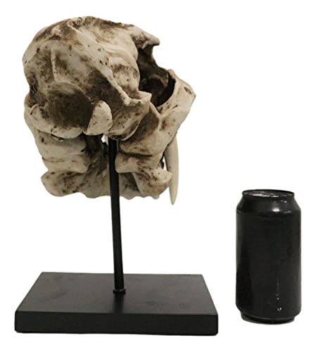 Sabertooth Tiger Skull Statue with Mounting Pole