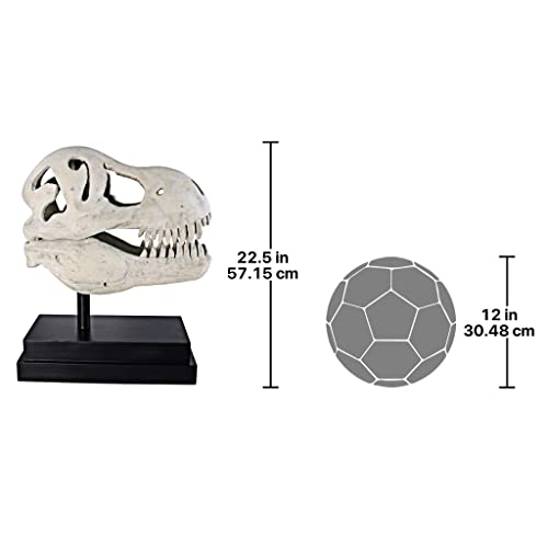 T-Rex Fossil Statue on Museum Mount