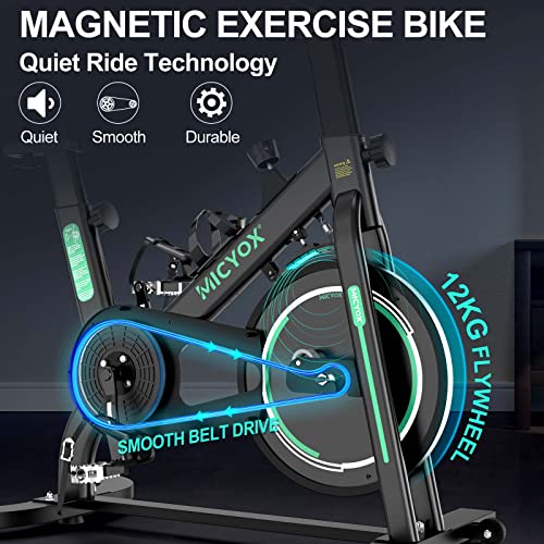 Micyox MX87 Exercise Bike: Magnetic Resistance, Silent