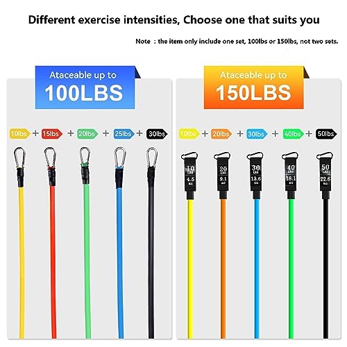 Strength Training Resistance Bands Set for Home Workout