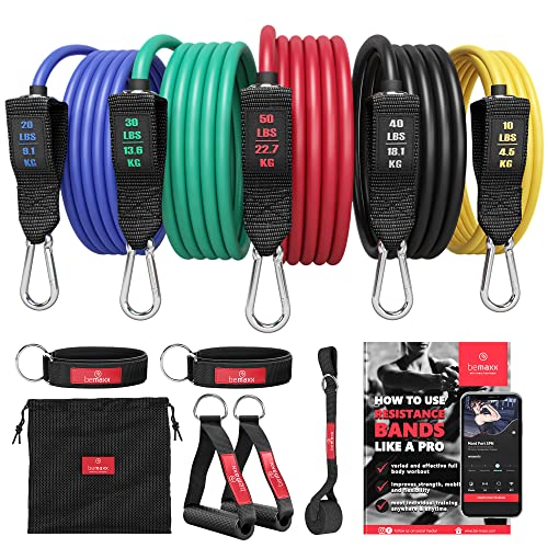 Premium Resistance Bands Set for Full Body Workouts
