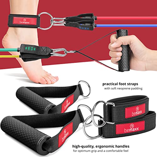Premium Resistance Bands Set for Full Body Workouts