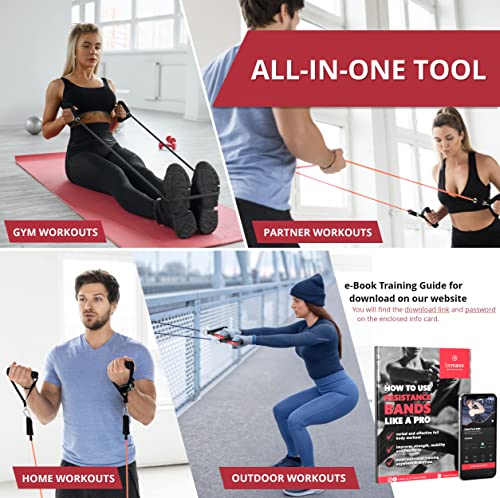 Premium Resistance Bands Set for Full Body Workouts