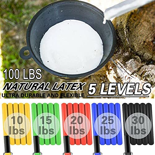 14 Pc Resistance Bands Set for Men and Women