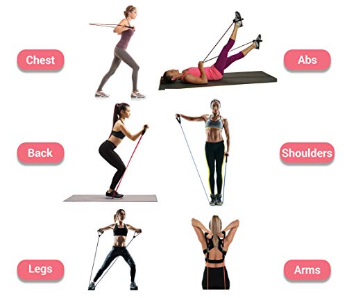 Resistance Band Set for Home Gym Workouts - 150lbs