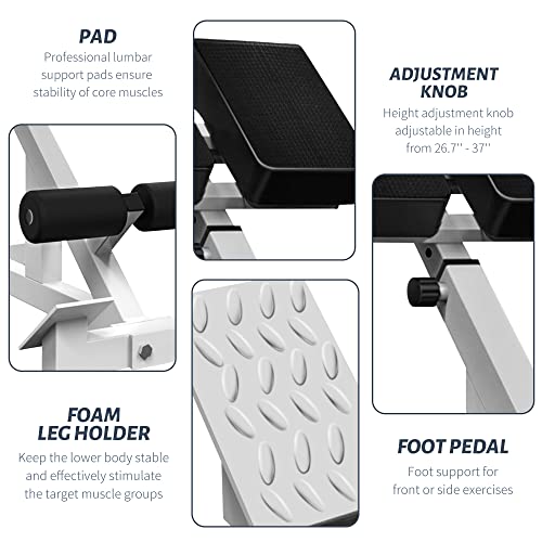 Adjustable Roman Chair - Home Gym Back Extension