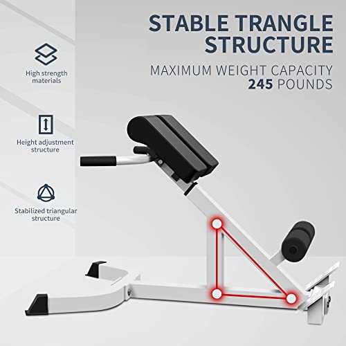 Adjustable Roman Chair - Home Gym Back Extension