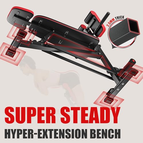 FLYBIRD 3 in 1 Workout Bench: Hyper Back Extension & Full Body!